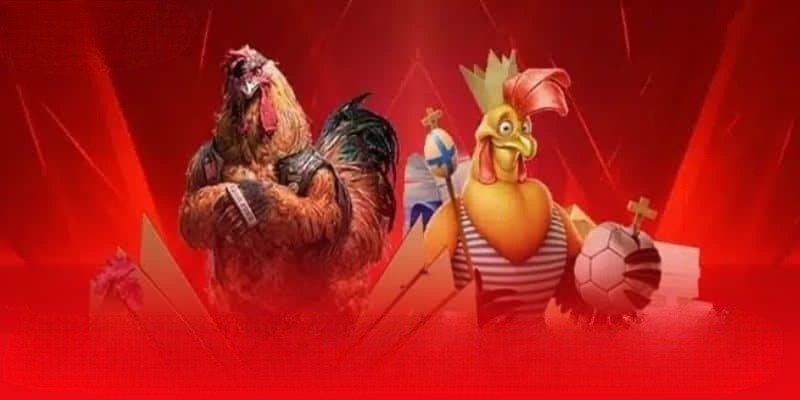 Giới thiệu đá gà AE888 đẳng cấp nhất