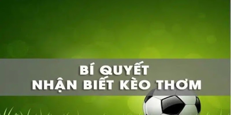 Những điểm cơ bản nhất để nhận biết 